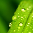 Petit inventaire à la Pré-vert