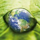 Six ans après la Charte de l’environnement: vers une portée véritablement constitutionnelle du droit