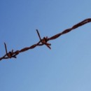 Building Effective Tools for the Prevention of Torture Worldwide