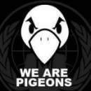 Plus-values de cession de titres : la réponse de Hollande aux pigeons