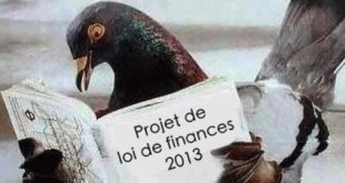 pigeon_finance