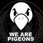we are pigeons