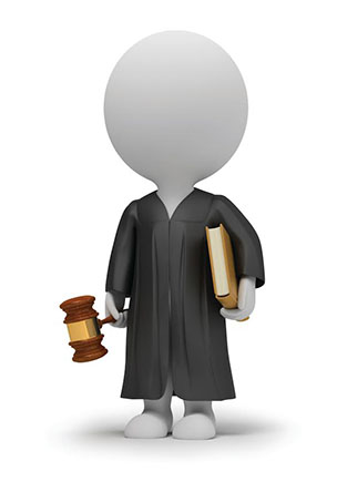 public lawyer