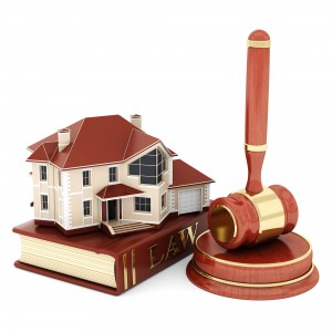 Droit immobilier  Trouble anormal de voisinage  Le chne et la 